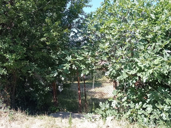 Парцел в с. Енина, Област Стара Загора - 605 кв.м за 59 €/кв.м - Снимка #1