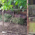 Парцел в Силистра, Център - 664 кв.м за 19 €/кв.м - Снимка #1