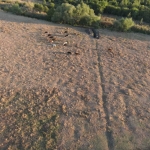 Парцел в с. Пъстрен, Област Стара Загора - 1500 кв.м за 5 €/кв.м - Снимка #1