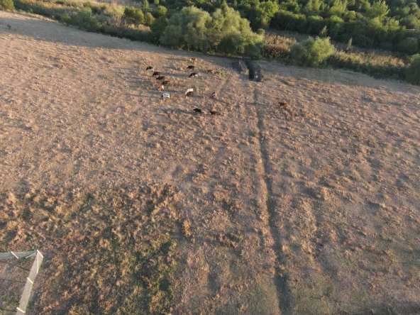 Парцел в с. Пъстрен, Област Стара Загора - 1500 кв.м за 5 €/кв.м - Снимка #1