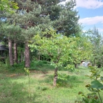 Парцел в с. Егълница, Област Перник - 1187 кв.м за 27 €/кв.м - Снимка #1