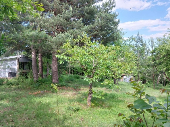 Парцел в с. Егълница, Област Перник - 1187 кв.м за 27 €/кв.м - Снимка #1