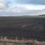 Земеделски имот в с. Братя Даскалови, Област Стара Загора -  кв.м за 1900 €/дка - Снимка #1