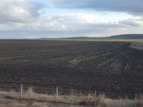 Земеделски имот в с. Братя Даскалови, Област Стара Загора -  кв.м за 1900 €/дка - Снимка #1