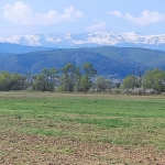 Земеделски имот в с. Алино, Област София-област -  кв.м за 5950 €/дка - Снимка #1