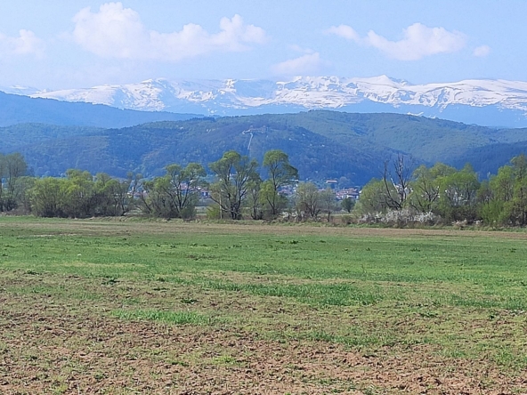 Земеделски имот в с. Алино, Област София-област -  кв.м за 5950 €/дка - Снимка #1