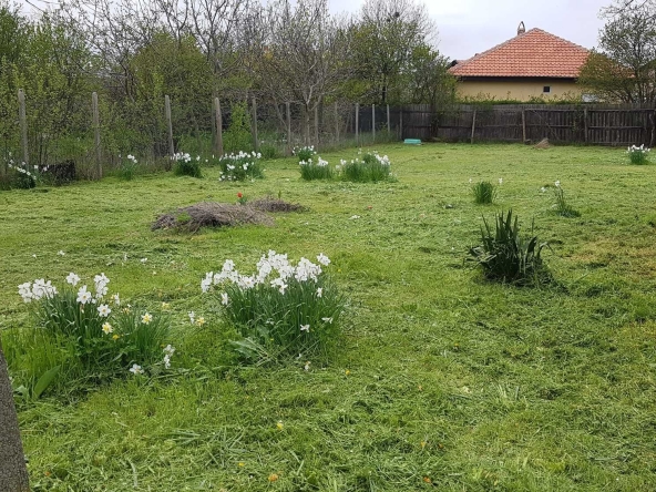 Къща в с. Брястовец, Област Бургас - 40 кв.м за 587 €/кв.м - Снимка #1