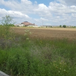 Парцел в Поморие - 5000 кв.м за 4 €/кв.м - Снимка #1