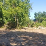 Парцел в Варна, м-т Боровец - юг - 1000 кв.м за 23 €/кв.м - Снимка #1