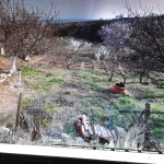 Парцел в Варна, Виница - 410 кв.м за 154 €/кв.м - Снимка #1