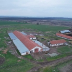 Промишлена сграда в с. Мирово, Област Стара Загора - 17595 кв.м за 11 €/кв.м - Снимка #1