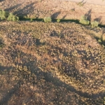 Парцел в с. Пъстрен, Област Стара Загора - 2500 кв.м за 3 €/кв.м - Снимка #1