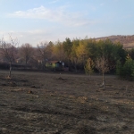 Парцел в с. Малка Верея, Област Стара Загора - 540 кв.м за 40 €/кв.м - Снимка #1