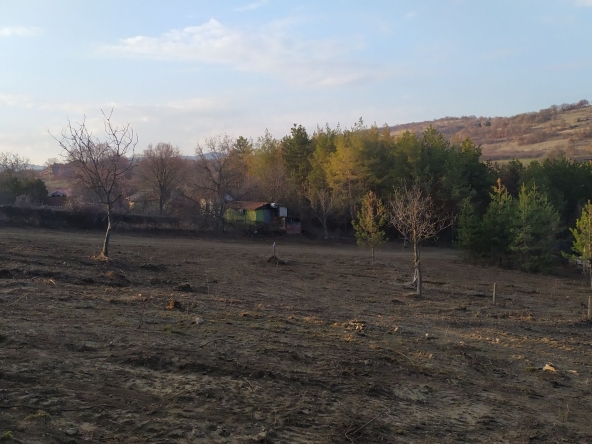 Парцел в с. Малка Верея, Област Стара Загора - 540 кв.м за 40 €/кв.м - Снимка #1