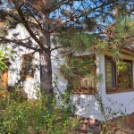 Къща в с. Владо Тричков, Област София-област - 30 кв.м за 1317 €/кв.м - Снимка #1