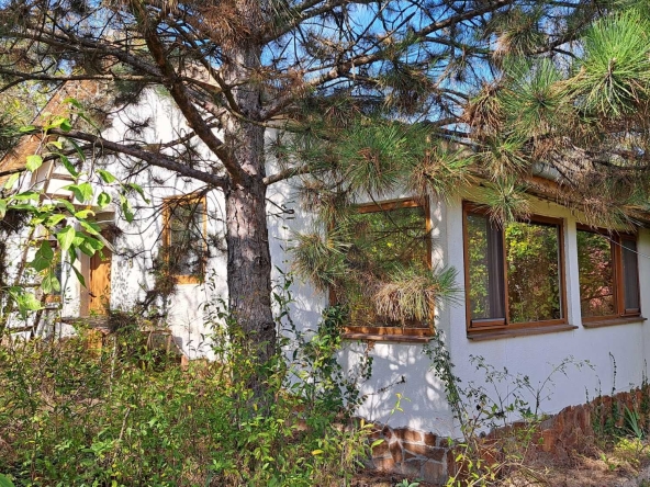 Къща в с. Владо Тричков, Област София-област - 30 кв.м за 1317 €/кв.м - Снимка #1