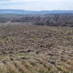 Парцел в с. Рогачево, Област Добрич - 3000 кв.м за 35 €/кв.м - Снимка #1