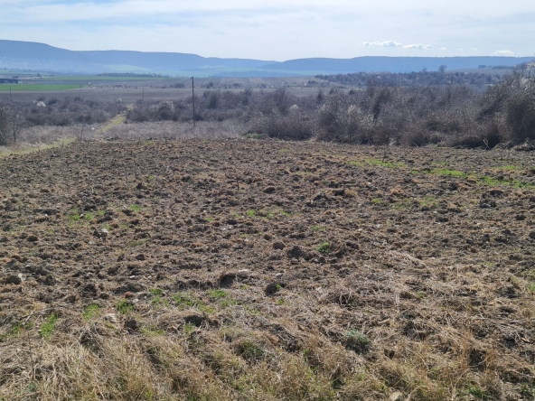 Парцел в с. Рогачево, Област Добрич - 3000 кв.м за 35 €/кв.м - Снимка #1