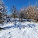 Парцел в Казанлък - 840 кв.м за 31 €/кв.м - Снимка #1