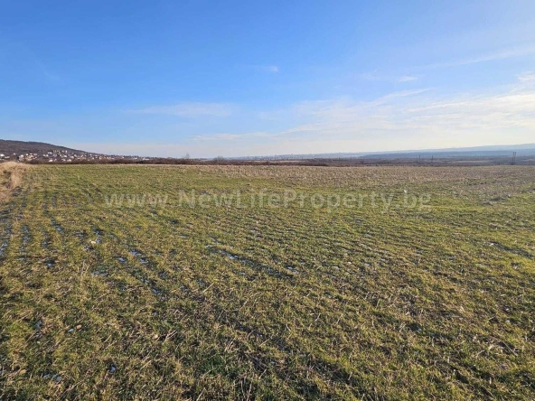 Парцел в с. Кошарица, Област Бургас - 2300 кв.м за 9 €/кв.м - Снимка #1