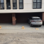 Дава се под наем Гараж / Паркомясто в София, Надежда 4 - 17 кв.м за 79.56 € - Снимка #1