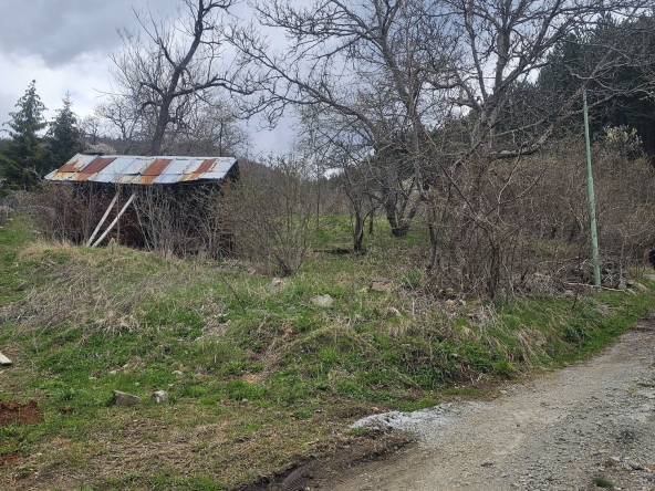 Парцел в с. Чуйпетлово, Област Перник - 444 кв.м за 120 €/кв.м - Снимка #1