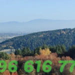 Къща в с. Панчарево, Област София-град - 360 кв.м за 2223 €/кв.м - Снимка #1