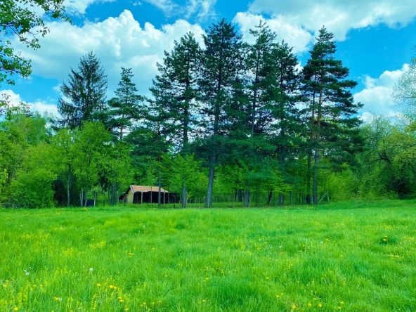 Къща в София, Горна баня - 120 кв.м за 2084 €/кв.м - Снимка #1