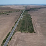 Земеделски имот в с. Могила, Област Стара Загора -  кв.м за 6 €/дка - Снимка #1