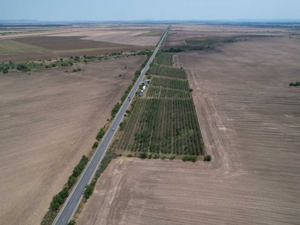 Земеделски имот в с. Могила, Област Стара Загора -  кв.м за 6 €/дка - Снимка #1