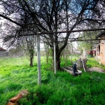 Къща в с. Даскал-Атанасово, Област Стара Загора - 102 кв.м за 216 €/кв.м - Снимка #1