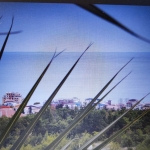 Парцел в Несебър - 8866 кв.м за 26 €/кв.м - Снимка #1