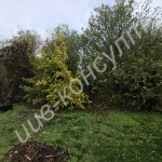 Парцел в с. Ресен, Област Велико Търново - 1221 кв.м за 13 €/кв.м - Снимка #1