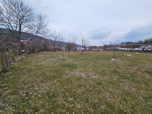 Парцел в с. Пчелище, Област Велико Търново - 1000 кв.м за 42 €/кв.м - Снимка #1