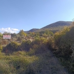 Парцел в Търговище, Вилна зона - 1751 кв.м за 8 €/кв.м - Снимка #1