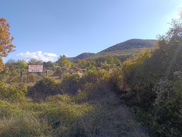 Парцел в Търговище, Вилна зона - 1751 кв.м за 18 €/кв.м - Снимка #1