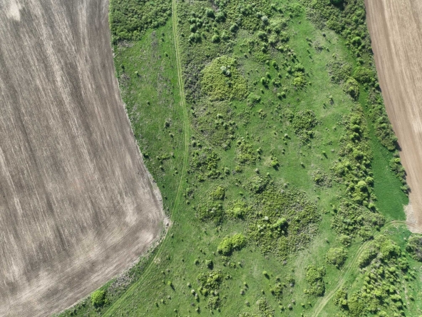 Земеделски имот в с. Девене, Област Враца -  кв.м за 510 €/дка - Снимка #1