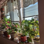 Тристаен апартамент в с. Черно море, Област Бургас - 84 кв.м за 727 €/кв.м - Снимка #1