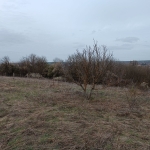 Парцел в с. Шемшево, Област Велико Търново - 1200 кв.м за 21 €/кв.м - Снимка #1