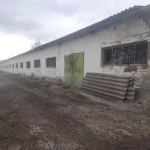 Склад в с. Честименско, Област Добрич - 40007 кв.м за 4 €/кв.м - Снимка #1