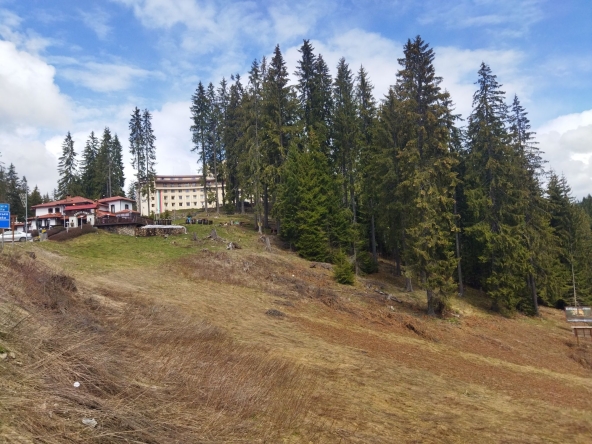 Парцел в к.к. Пампорово - 4260 кв.м за 140 €/кв.м - Снимка #1