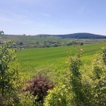 Парцел в с. Малка Верея, Област Стара Загора - 8537 кв.м за 8 €/кв.м - Снимка #1