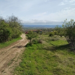 Дава се под наем Парцел в Аксаково - 600 кв.м за 40.8 € - Снимка #1