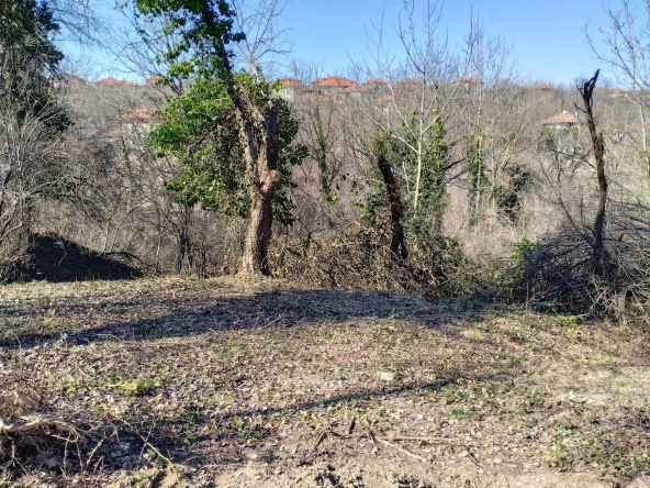 Парцел в с. Голяма Желязна, Област Ловеч - 587 кв.м за 18 €/кв.м - Снимка #1
