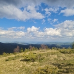 Земеделски имот в с. Давидково, Област Смолян -  кв.м за 15000 €/дка - Снимка #1