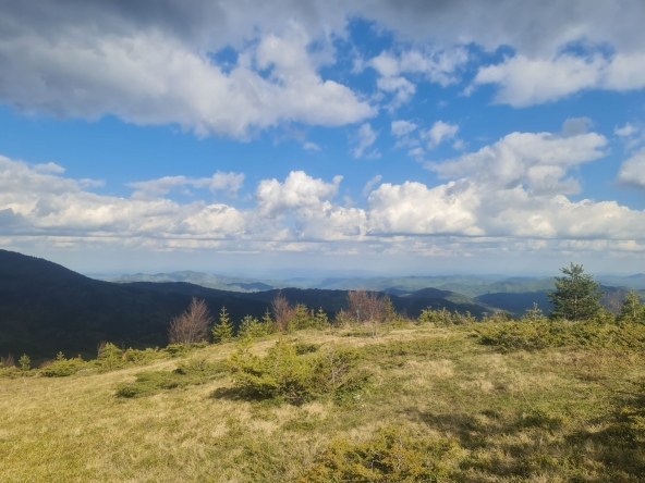 Земеделски имот в с. Давидково, Област Смолян -  кв.м за 15000 €/дка - Снимка #1