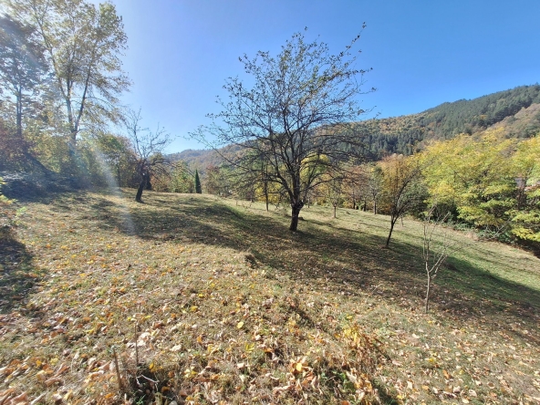 Парцел в Троян - 2552 кв.м за 34 €/кв.м - Снимка #1