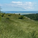 Парцел в с. Калиманци, Област Варна - 6194 кв.м за 7 €/кв.м - Снимка #1