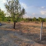 Парцел в Перущица - 424 кв.м за 68 €/кв.м - Снимка #1