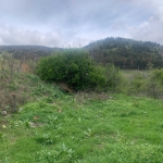 Парцел в Хисаря - 958 кв.м за 33 €/кв.м - Снимка #1